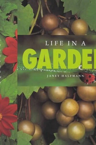 Cover of Life in a Garden
