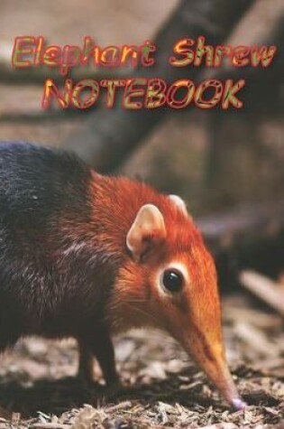 Cover of Elephant Shrew NOTEBOOK