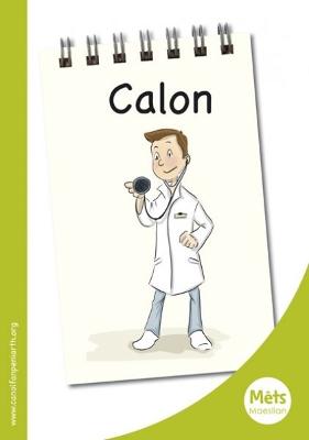 Book cover for Mêts Maesllan: Calon