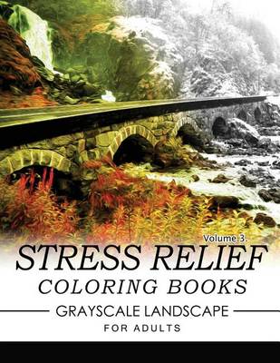 Book cover for Stress Relief Coloring Books GRAYSCALE Landscape for Adults Volume 3