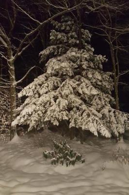 Book cover for Journal Snow Coverered Winter Evergreen Night