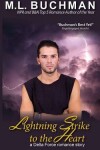 Book cover for Lightning Strike to the Heart