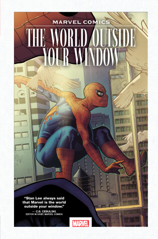 Cover of Marvel Comics: The World Outside Your Window