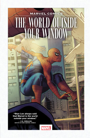 Book cover for Marvel Comics: The World Outside Your Window