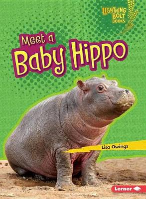 Cover of Meet a Baby Hippo