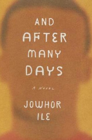 Cover of And After Many Days