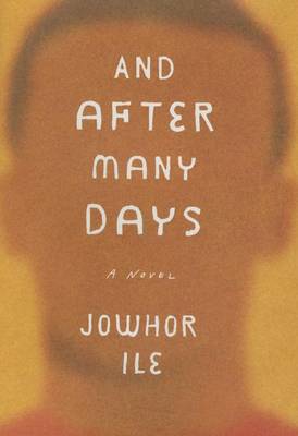 Book cover for And After Many Days