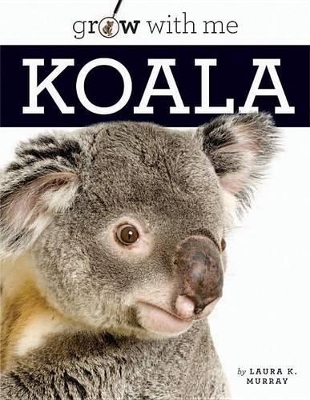 Book cover for Koala