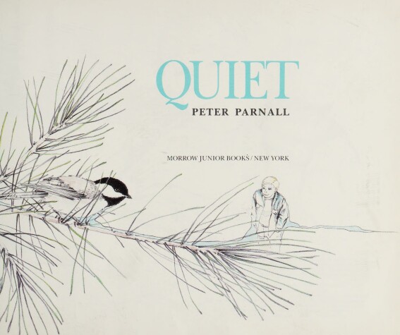 Book cover for Quiet