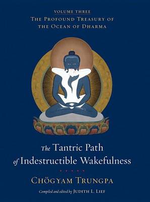 Cover of The Tantric Path of Indestructible Wakefulness