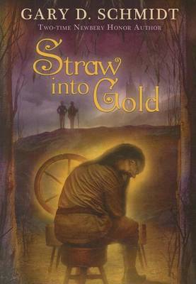 Book cover for Straw Into Gold