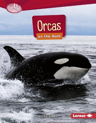 Book cover for Orcas on the Hunt