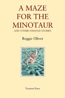 Book cover for A Maze for the Minotaur