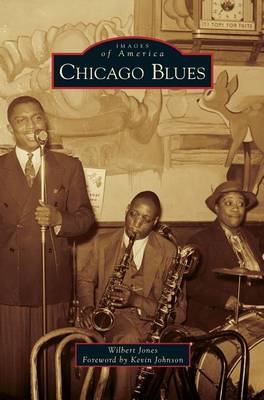 Book cover for Chicago Blues