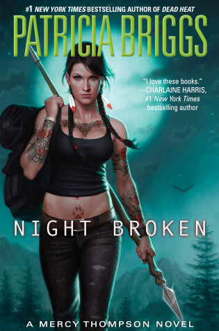 Cover of Night Broken