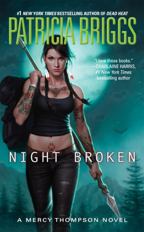 Book cover for Night Broken