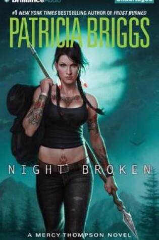 Cover of Night Broken