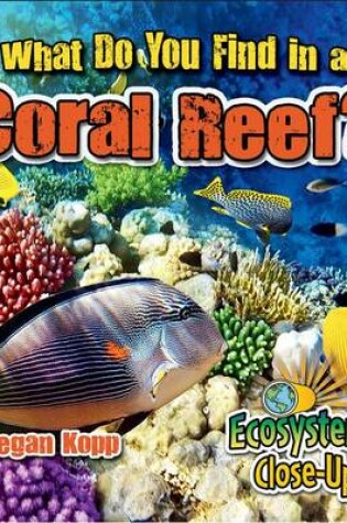 Cover of What Do You Find in a Coral Reef?