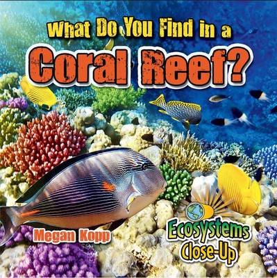 Book cover for What Do You Find in a Coral Reef?