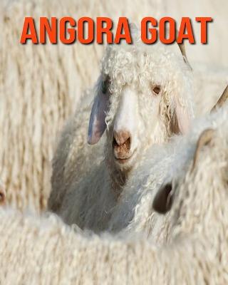 Book cover for Angora Goat