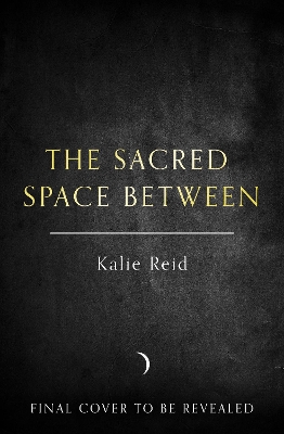 Book cover for The Sacred Space Between