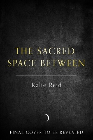 Cover of The Sacred Space Between