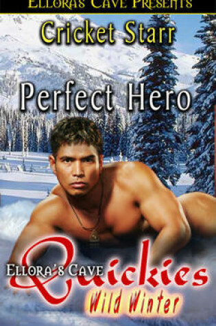 Cover of Perfect Hero
