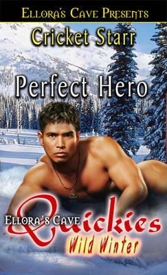 Book cover for Perfect Hero