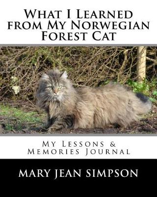 Book cover for What I Learned from My Norwegian Forest Cat