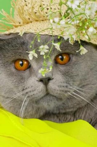 Cover of Website Password Organizer, British Shorthair Cat Wearing a Hat