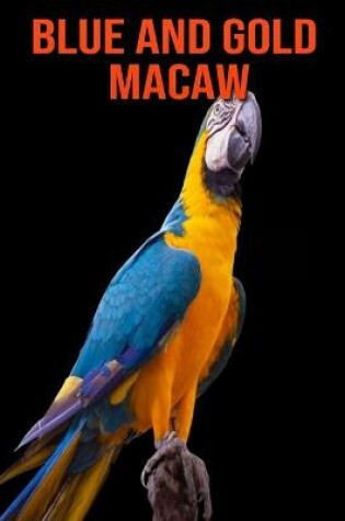 Cover of Blue and Gold Macaw