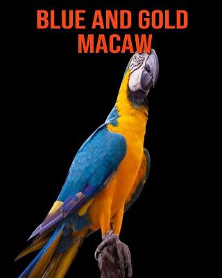 Book cover for Blue and Gold Macaw