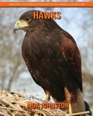 Book cover for Hawks