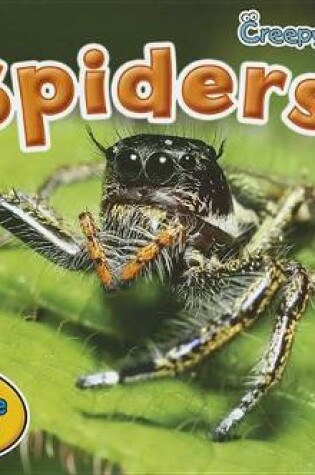 Cover of Spiders (Creepy Critters)