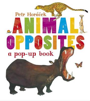 Book cover for Animal Opposites