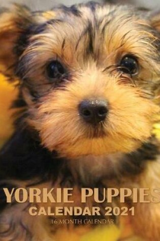 Cover of Yorkie Puppies Calendar 2021