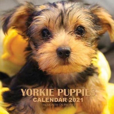 Book cover for Yorkie Puppies Calendar 2021