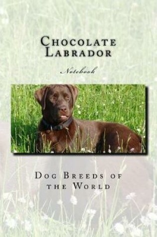 Cover of Chocolate Labrador