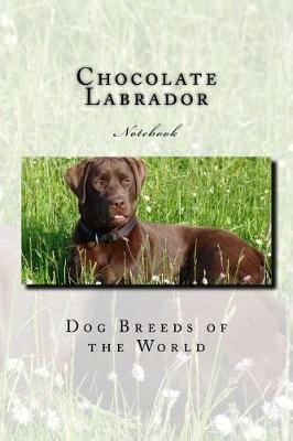 Book cover for Chocolate Labrador