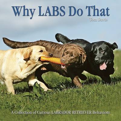 Book cover for Why Labs Do That: A Collection of Curious Labrador Retriever Behaviours