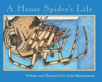 Book cover for A House Spider's Life (Nature Upclose)