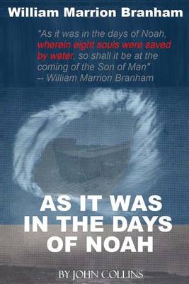 Book cover for As It Was In The Days Of Noah