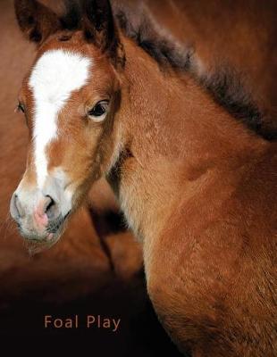 Book cover for Foal Play