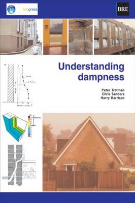 Book cover for Understanding Dampness