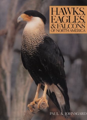 Book cover for Hawks, Eagles and Falcons of North America