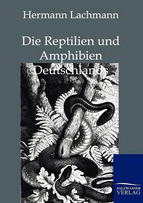 Book cover for Die Reptilien Und Amphibien Deutschlands