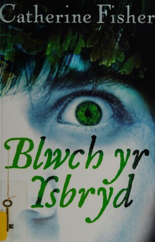 Book cover for Blwch Yr Ysbryd