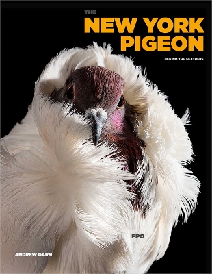 Book cover for The New York Pigeon