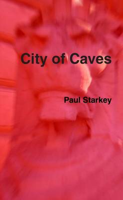 Book cover for City of Caves