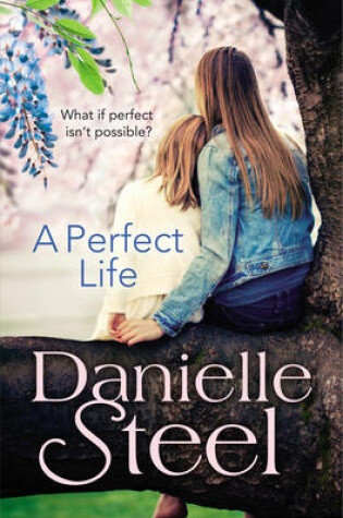 Cover of A Perfect Life